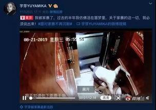 谁爆料家暴视频最新版下载,揭秘暴力真相，呼吁社会关注与干预